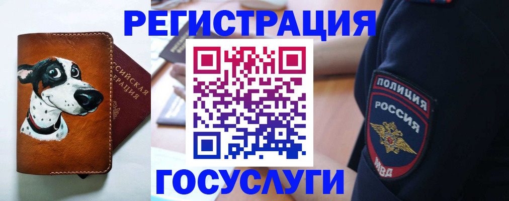 временная регистрация в квартире в Белгороде